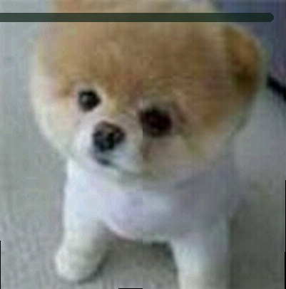 赵磊